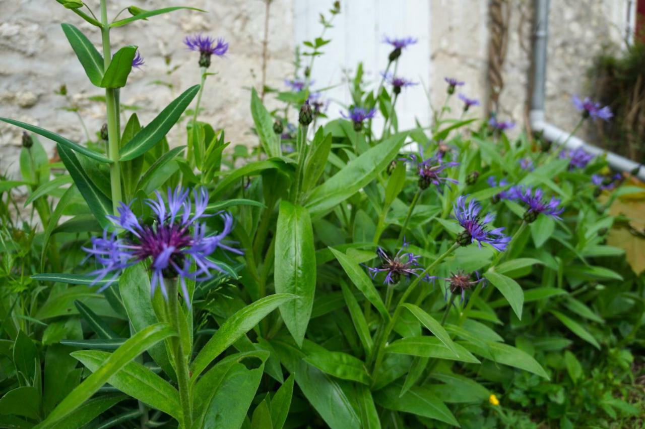 Messas Le Clos De La Vigneronne מראה חיצוני תמונה